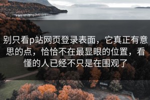 别只看p站网页登录表面，它真正有意思的点，恰恰不在最显眼的位置，看懂的人已经不只是在围观了