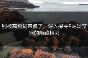别被高频词带偏了，深入探寻P站浏览器的隐藏精彩