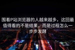 围着P站浏览器的人越来越多，这回最值得看的不是结果，而是过程怎么一步步发酵