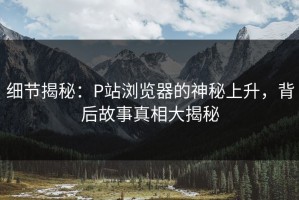 细节揭秘：P站浏览器的神秘上升，背后故事真相大揭秘