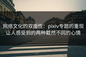 网络文化的双面性：pixiv专题的重现让人感受到的两种截然不同的心情