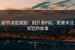 细节决定成败：别只看P站，更要关注背后的故事