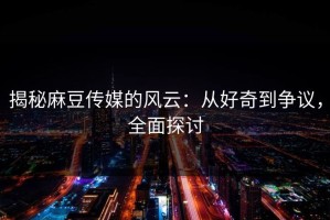 揭秘麻豆传媒的风云：从好奇到争议，全面探讨