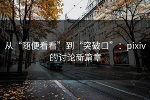 从“随便看看”到“突破口”：pixiv的讨论新篇章