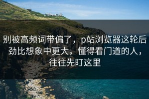 别被高频词带偏了，p站浏览器这轮后劲比想象中更大，懂得看门道的人，往往先盯这里