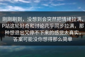 刚刚刷到，没想到会突然把情绪拉满，P站这轮好奇和讨论几乎同步拉满，那种想退出又停不下来的感觉太真实，答案可能没你想得那么简单