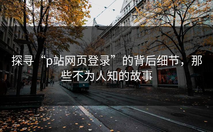 探寻“p站网页登录”的背后细节，那些不为人知的故事