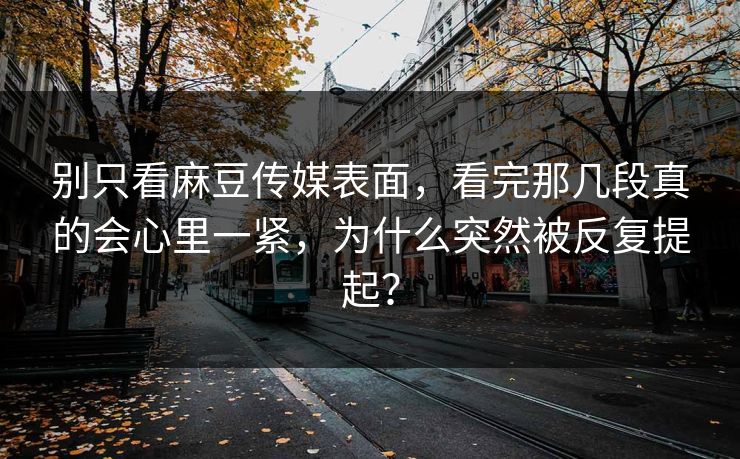 别只看麻豆传媒表面，看完那几段真的会心里一紧，为什么突然被反复提起？