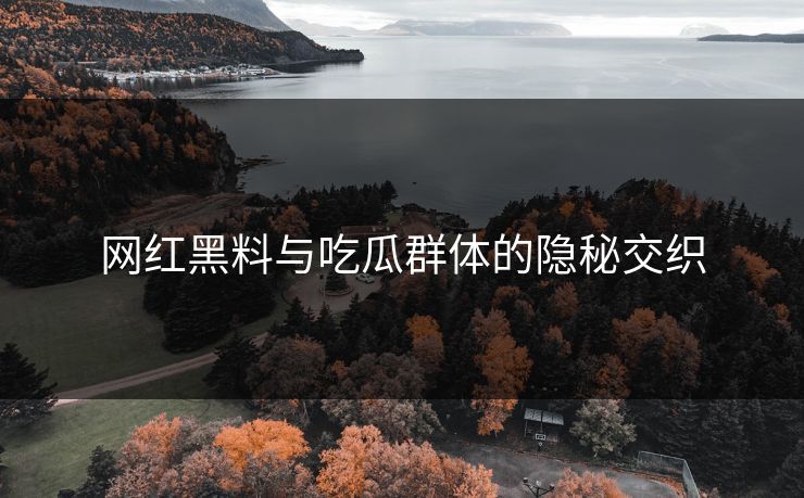 网红黑料与吃瓜群体的隐秘交织 网红黑料与吃瓜群体的隐秘交织