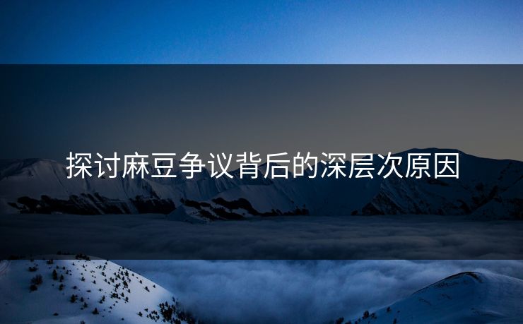 探讨麻豆争议背后的深层次原因