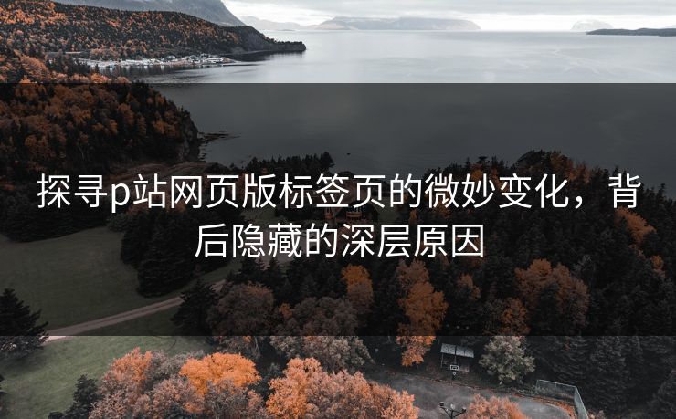 探寻p站网页版标签页的微妙变化，背后隐藏的深层原因