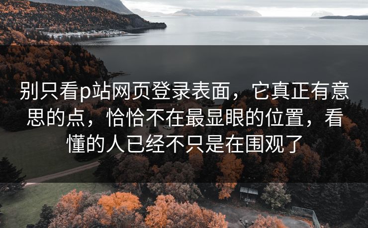 别只看p站网页登录表面，它真正有意思的点，恰恰不在最显眼的位置，看懂的人已经不只是在围观了