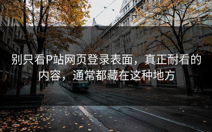别只看P站网页登录表面，真正耐看的内容，通常都藏在这种地方