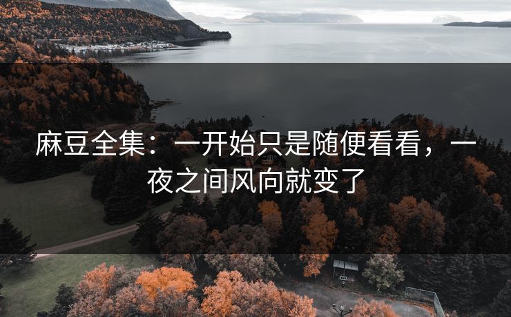 麻豆全集：一开始只是随便看看，一夜之间风向就变了