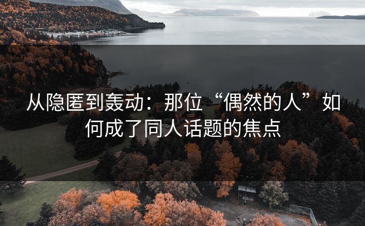从隐匿到轰动：那位“偶然的人”如何成了同人话题的焦点